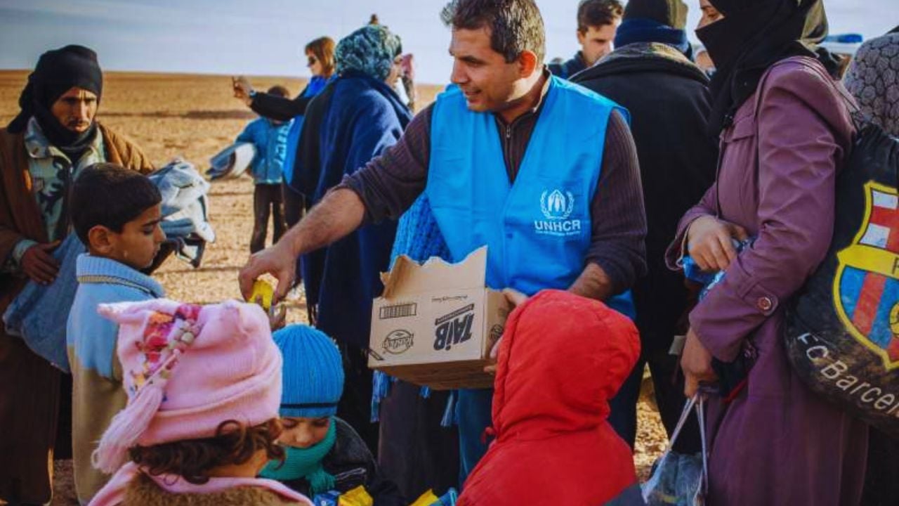 Careers at UNHCR: Guide to Vacancies and Application Success